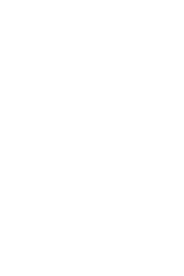 Stranger Things x Santa Cruz 2025